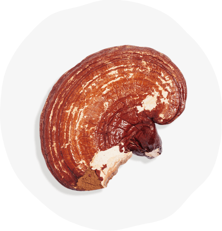 https://heyzolt.com/wp-content/uploads/2020/02/Zolt_Ingredients_Organic-Reishi.png