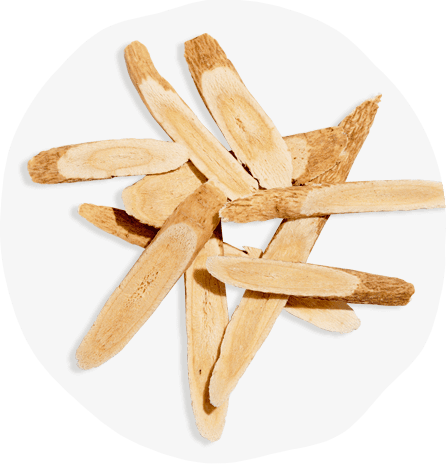 https://heyzolt.com/wp-content/uploads/2020/02/Zolt_Ingredients_OrganicAstragalus.png