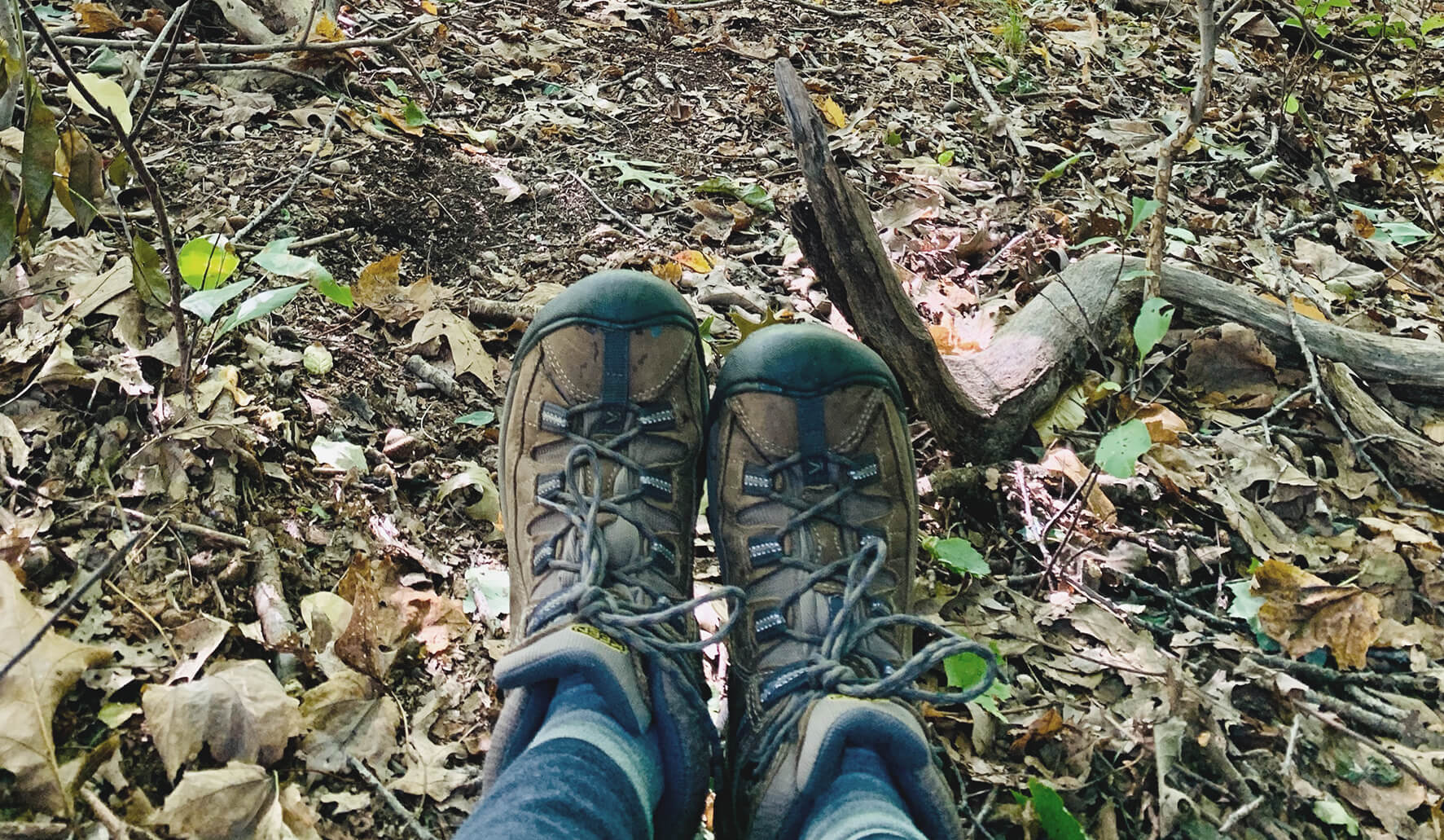 Fall hike with zolt
