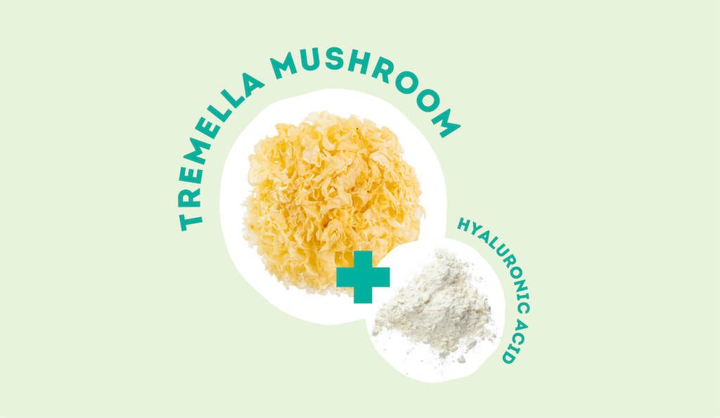 tremella mushroom hyaluronic acid